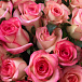 Букет розовых роз Джумилия