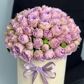 Кустовая роза 20веток «Lavender»